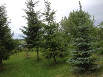 Agroturismo Country House U Razliva