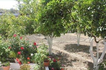 Hotel Hariklia Rent Rooms