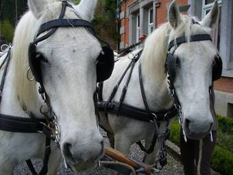 Apartamento Chateau De Hodbomont
