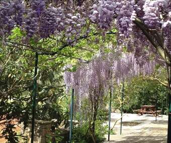 Hotel Gentilini Retreat