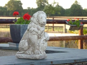 Bed & Breakfast Maison D'hotes Le Relais Du Haras