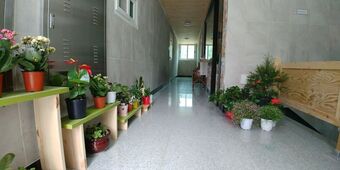 Odae Mountain Healing Town-star Light