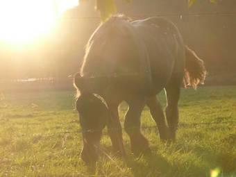 B&B La Bonne Auberge