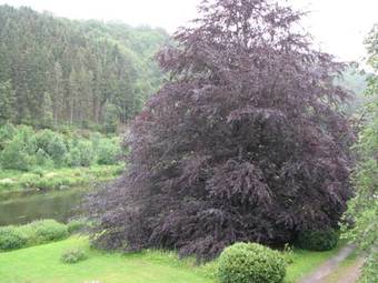 Hotel Restaurant Comtes De Chiny