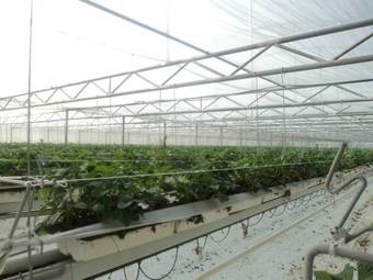 Apartamento Juwel Fruithof