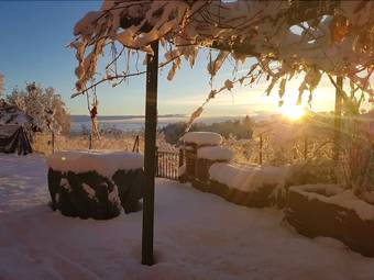 Bed & Breakfast L'orto Di Ortensia
