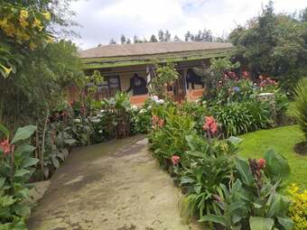 Posada Villa Gorilla