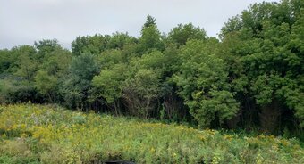 Aparthotel Manor On The Mile Two