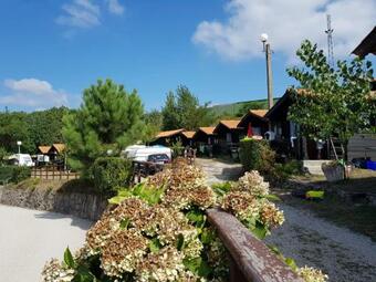 Camping Ria De Arosa 1