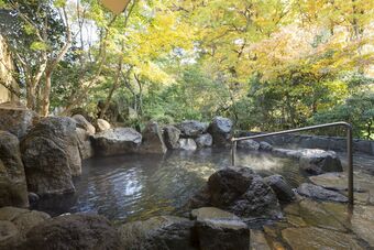 Hotel Hanasansui