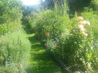 Bed & Breakfast Asinus 32
