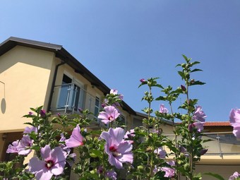 Hotel Maison Petit Perlage