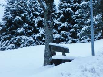 Apartamentos Charming Holiday Home In Lehengericht Near The Forest