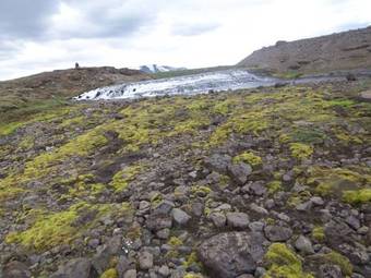 Glj�steinn G�slask�li Kj�lur Hostel