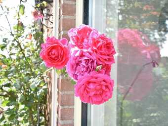 Attractive Holiday Home In Blokzijl Overijssel With Garden