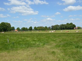 Charming Detached Holiday Home In Beautiful Hiking And Cycling Area