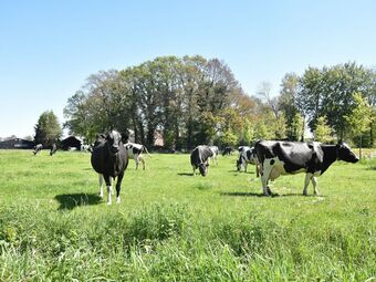 Wonderful Bungalow With Terrace, Garden, Outdoor Fireplace