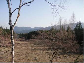 Hostal Nikko Pension L'escale