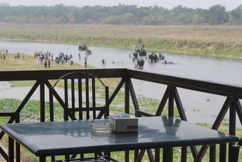 Hotel Jungle Wildlife Camp