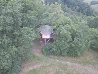 Hotel Arbrakabane