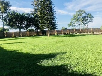 Bed & Breakfast Forest Lodge Mukono