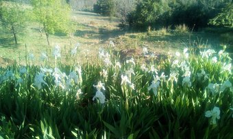 Apartment With One Bedroom In Busqu�star, With Wonderful Mountain View, Private Pool And Furnished Garden - 46 Km From The Slopes