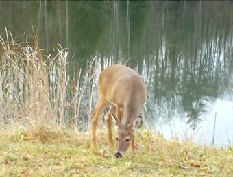 Hotel Cliffview Resort