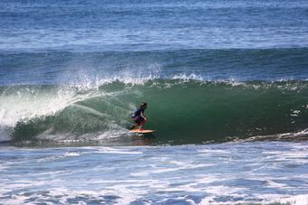 Posada Hotel Los Mangos