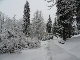 Spa Resort Libverda - Hotel Novy Dum