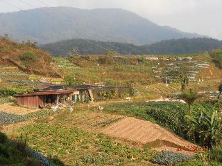 Hotel Cameron View Apartment  Crown Imperial Court Brinc