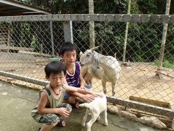 Bed & Breakfast Ji Ji Farm Homestay