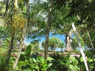 Hotel Benjor Beach Club