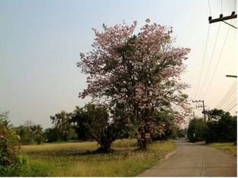 Hotel ????????? ?????????