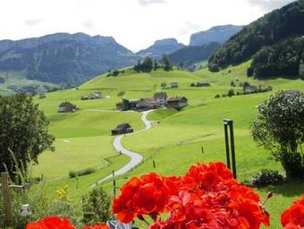 Hostal Guesthouse Forrenh�sli