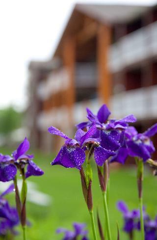 Hotel Best Western Premier The Lodge On Lake Detroit