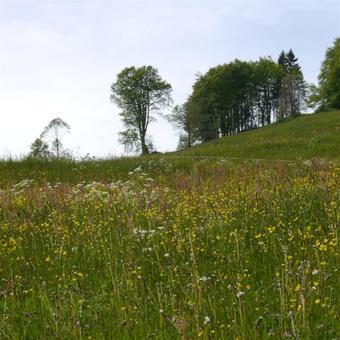 Hotel Garni Torkelb�ndte