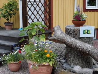 Skogis Bed & Breakfast