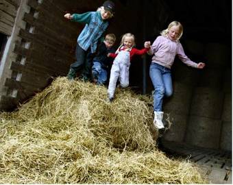 Agroturismo Kullag�rden