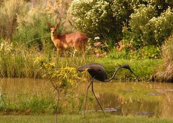 Agroturismo Heatherhill