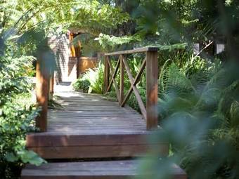 Bed & Breakfast Andelomi Forest Lodge