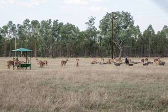 Shangri-la Country Hotel & Spa