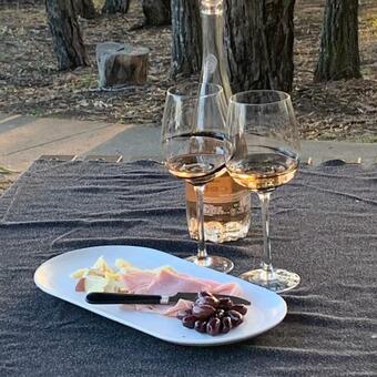 Bed & Breakfast Rosetta Homestead