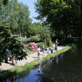 B&B Het Doctershoes