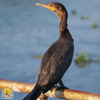 Passo Do Lontra Parque Hotel