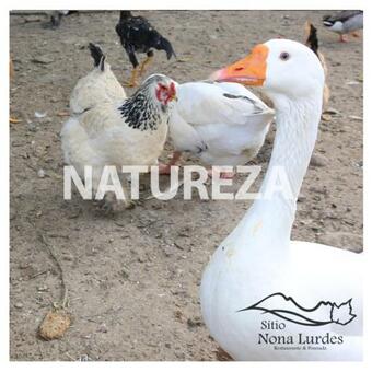 Hostal Restaurante E Pousada S�tio Nona Lurdes