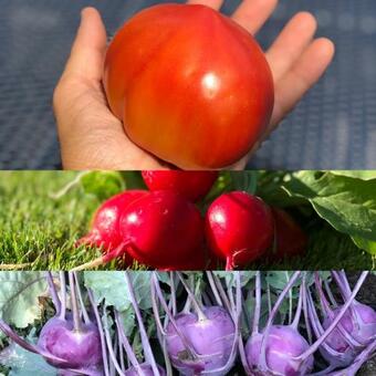 Bed & Breakfast Caf� Cher-mignon Et Chambres D'h�tes