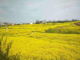 Hotel 7days Inn Hanzhong North Street Central Road Garden