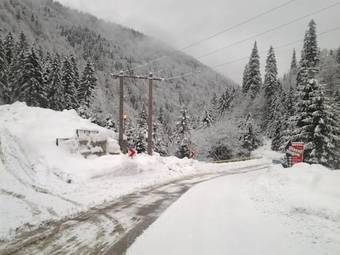 Hostal Piscul Negru Hotel - Transfagarasan