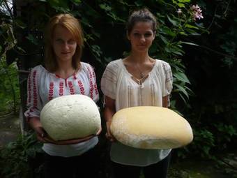 Casa Bunicii Din Bucovina