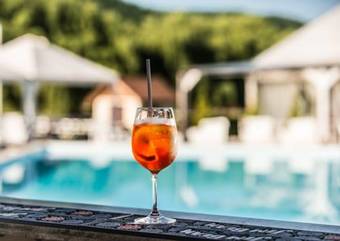 Hotel Conacul Archia